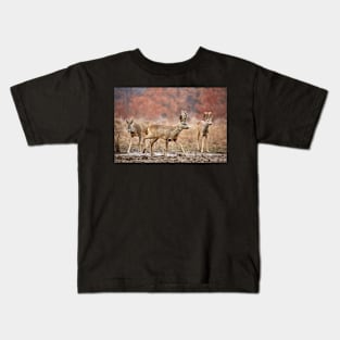 Roe deer family Kids T-Shirt